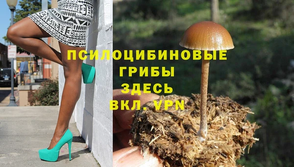 Альфа ПВП Алексин