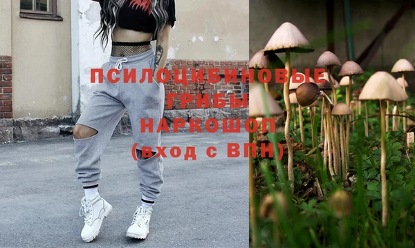 Альфа ПВП Алексин