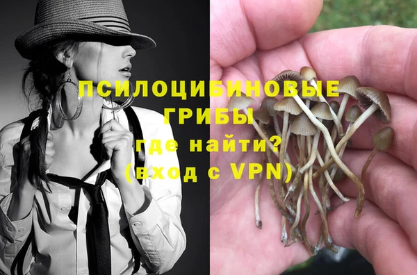 Альфа ПВП Алексин