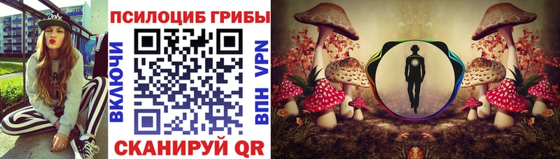 Псилоцибиновые грибы Psilocybine cubensis Керчь
