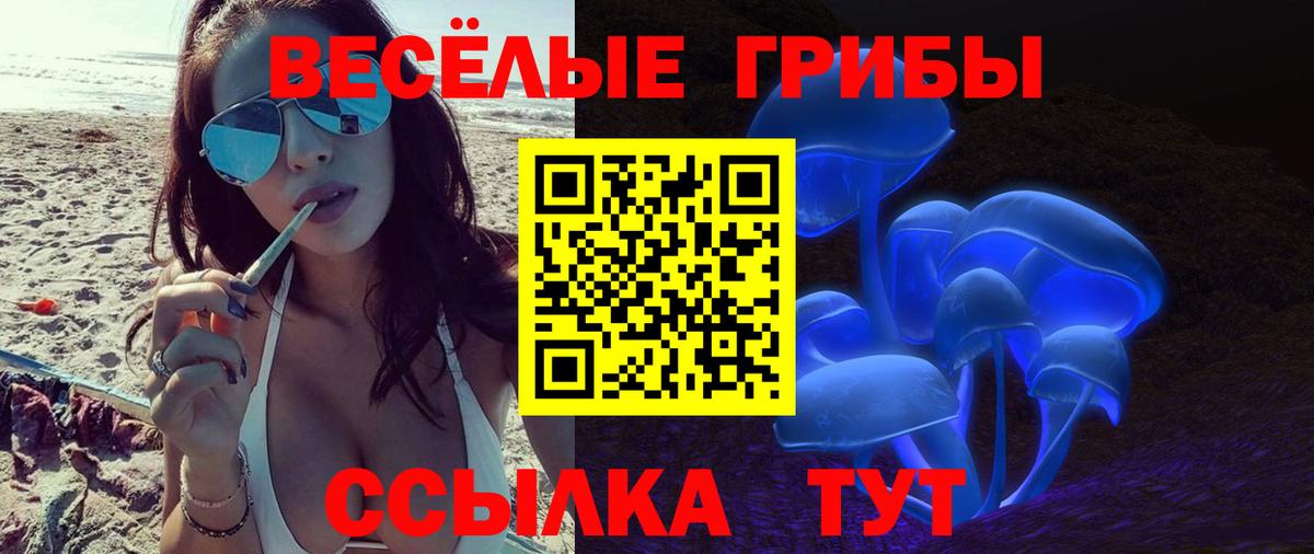 Псилоцибиновые грибы мухоморы Керчь