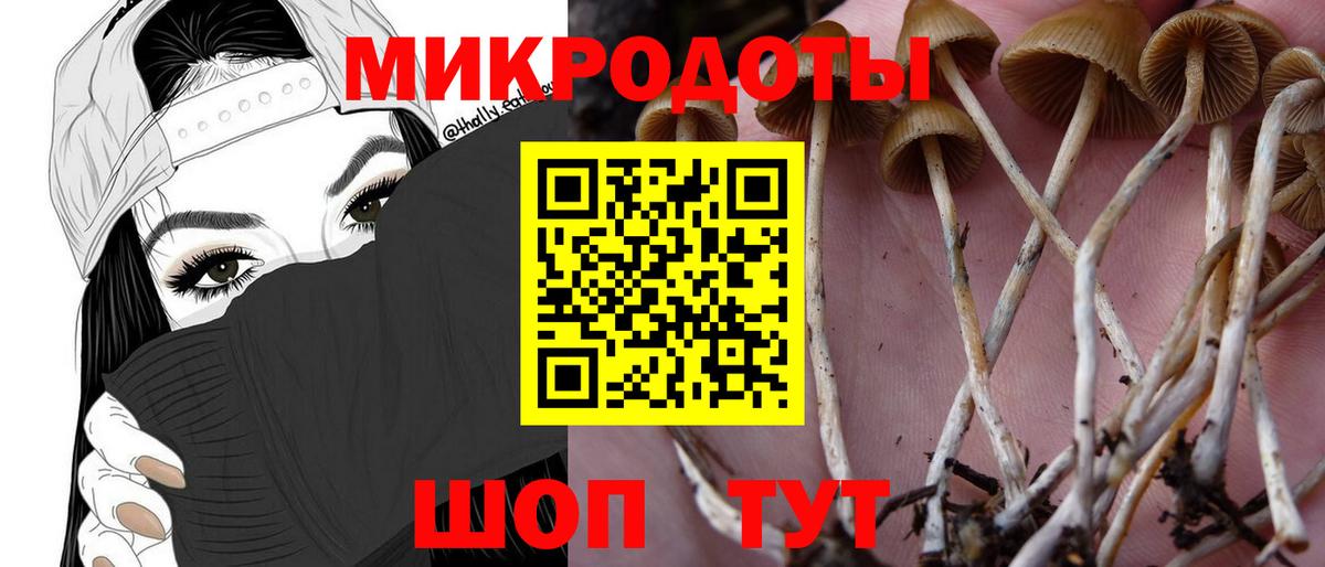 Галлюциногенные грибы GOLDEN TEACHER  Вход с VPN  Псилоцибиновые грибы Magic Shrooms  Керчь 
